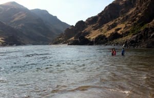 Wading in the River | 208-347-3862 | Americas Rafting Company | Idaho | Oregon | Hells Canyon | Snake River | Salmon River