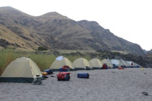 many tents on a sandy salmon river beach with mountains behind them during a multi-day rafting trip