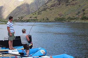 standing on rafts on the banks of the snake river, a man reels in a big sturgeon while the guide looks on.