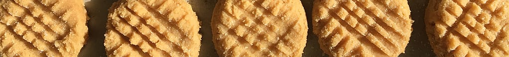 Close up of Peanut Butter Cookies for lunch during a Hells Canyon Whitewater Rafting Trip