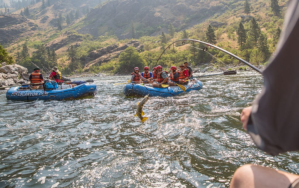 HellsCanyon Rafting Trips: whitewater rafting and fishing on the Snake River