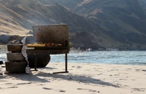 overnight salmon river trip: meat and veggies are grilled on a fire pan while cakes and breads are baked in dutch ovens on a sandy salmon river beach