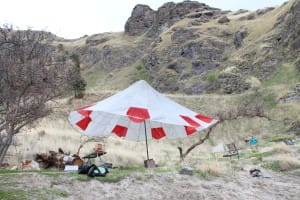 a parachute is spread out over a riverside camp as a substitute rain fly on a Hells Canyon whitewater adventure