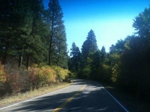 the road going into hells canyon in the fall