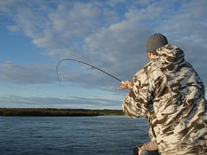 Bass, Trout, Salmon, Steelhead and Sturgeon Fish | Overnight Fishing Trip | 208-347-3862 | Americas Rafting Company | Idaho | Oregon | Hells Canyon | Salmon River | Snake River