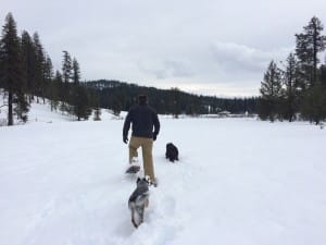 Winter Hike with Dogs | 208-347-3862 | Americas Rafting Company | Idaho | Oregon | Hells Canyon | Snake River | Salmon River